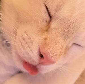 Meet your Posher, Nancy